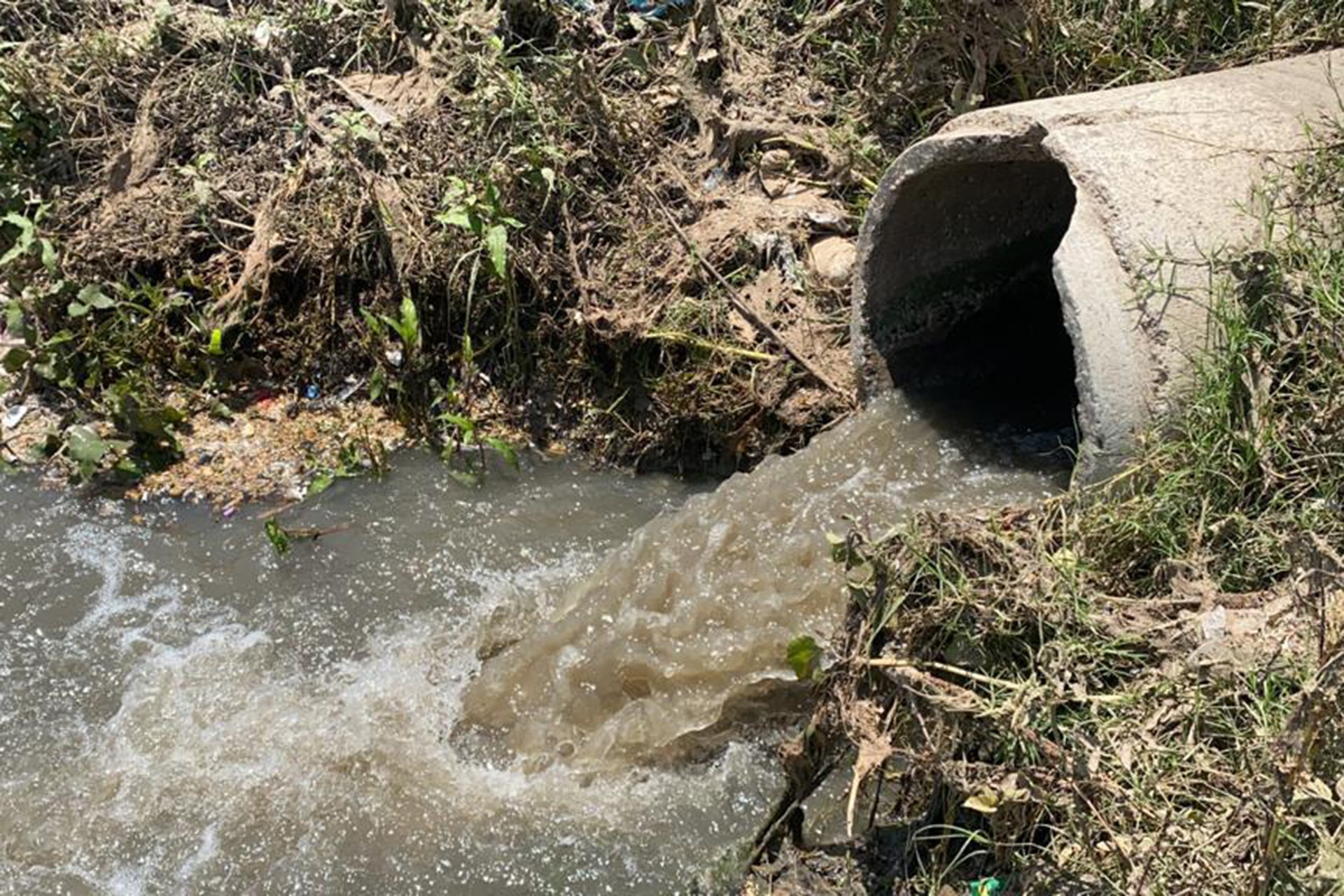 CHP'li Tanal, Dicle'ye atık su bırakıldığını belirledi, suç duyurusunda bulundu