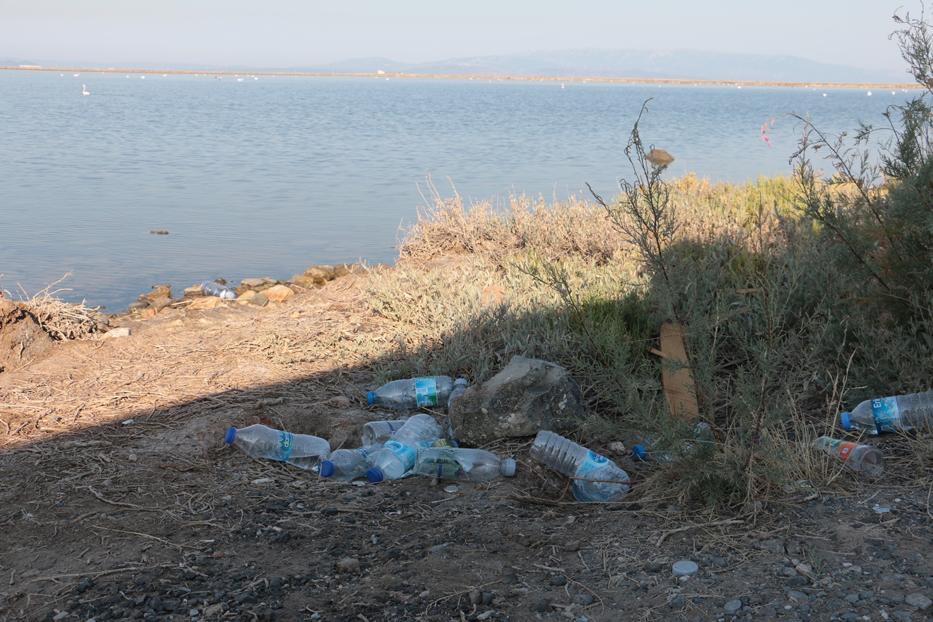 Sasalı Kuş Cenneti çevresindeki çöpler