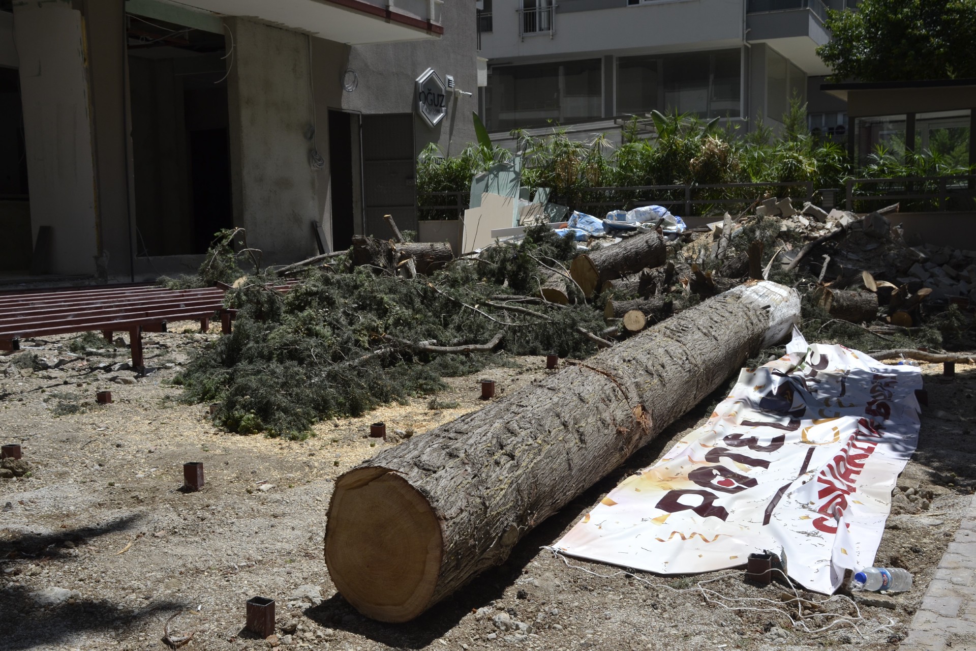 Adana’da Cemalpaşa Mahallesi sakinleri ağaçlarına sahip çıktı