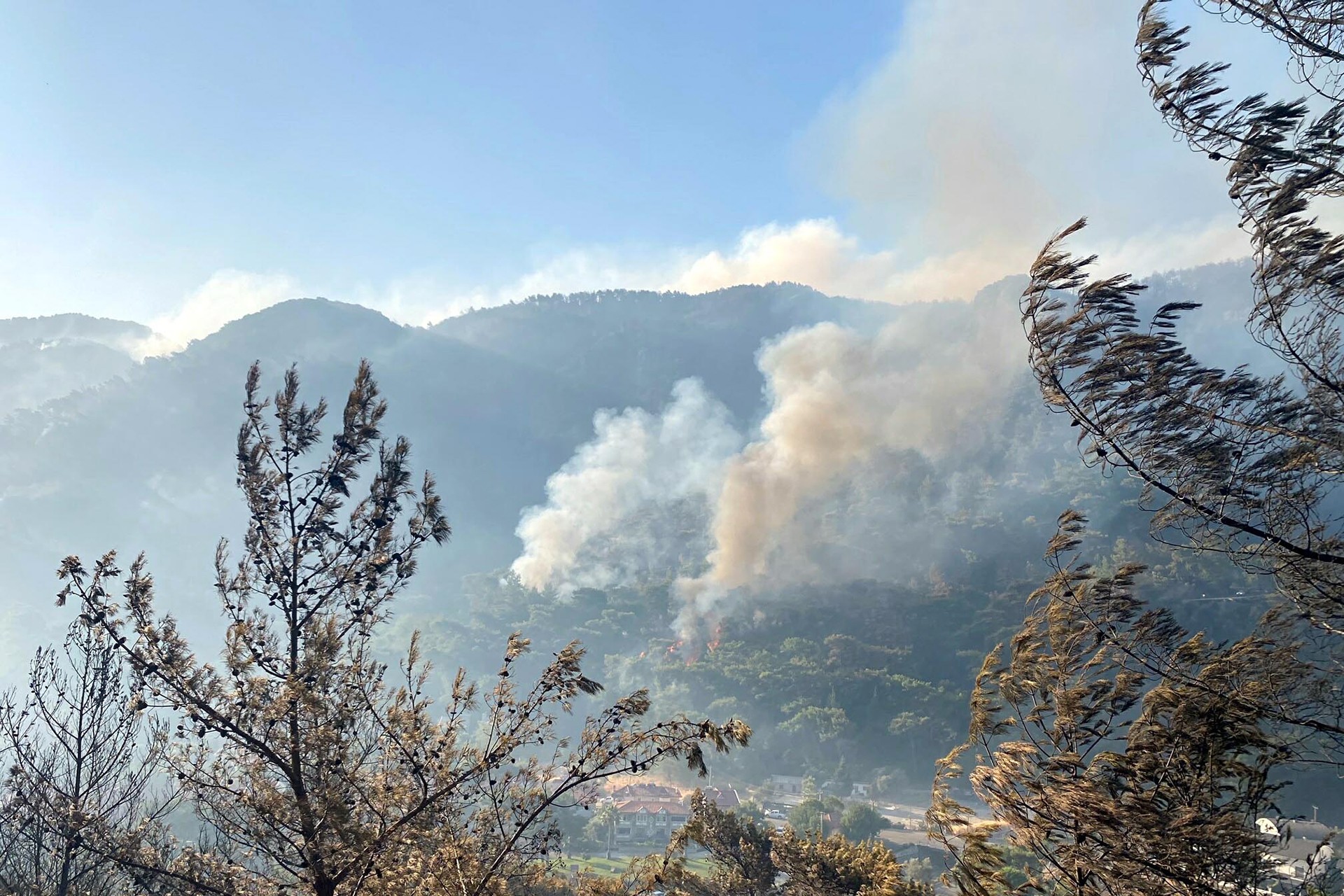 Marmaris'te orman yangını