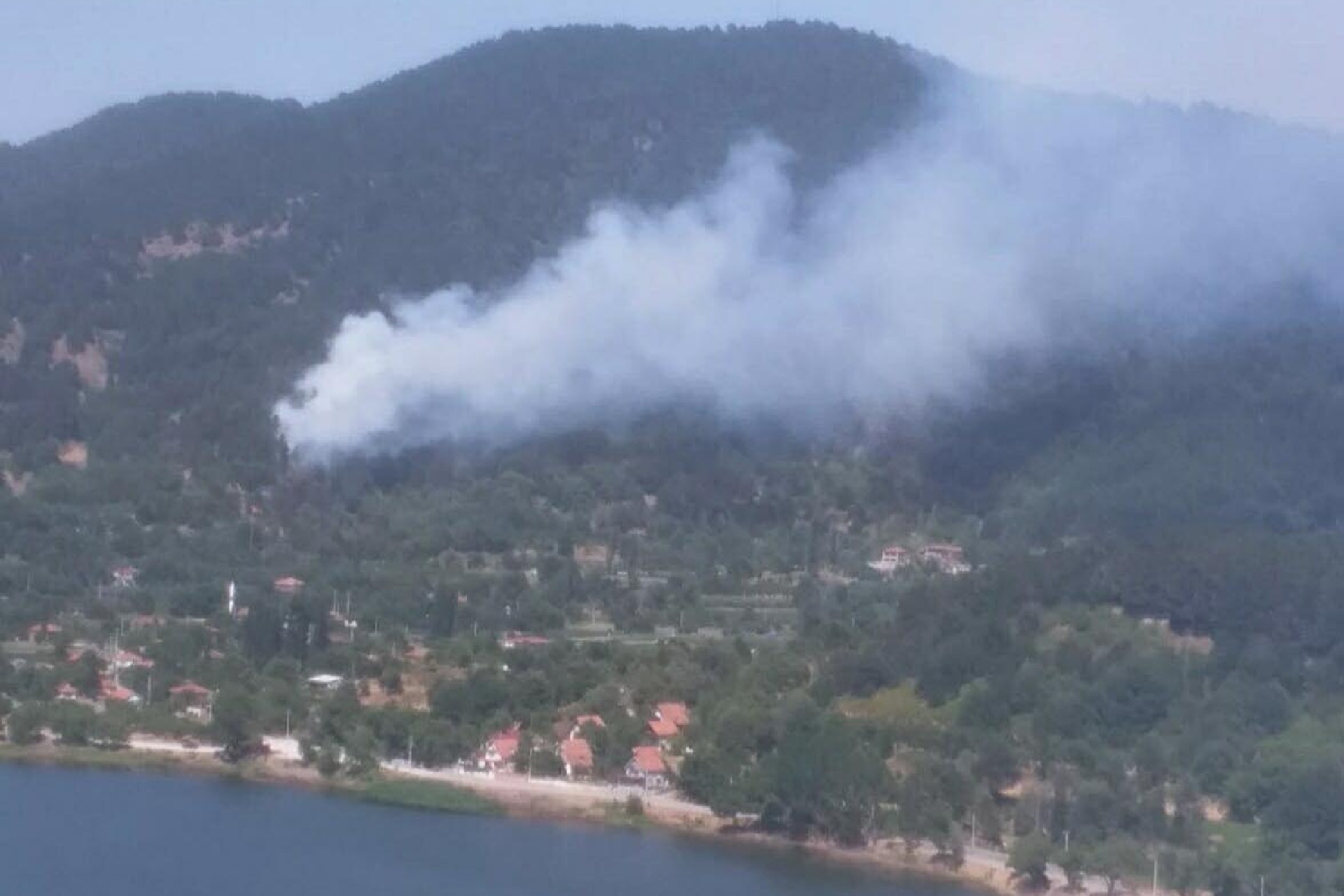 İzmir'de çıkan orman yangını kontrol altına alındı