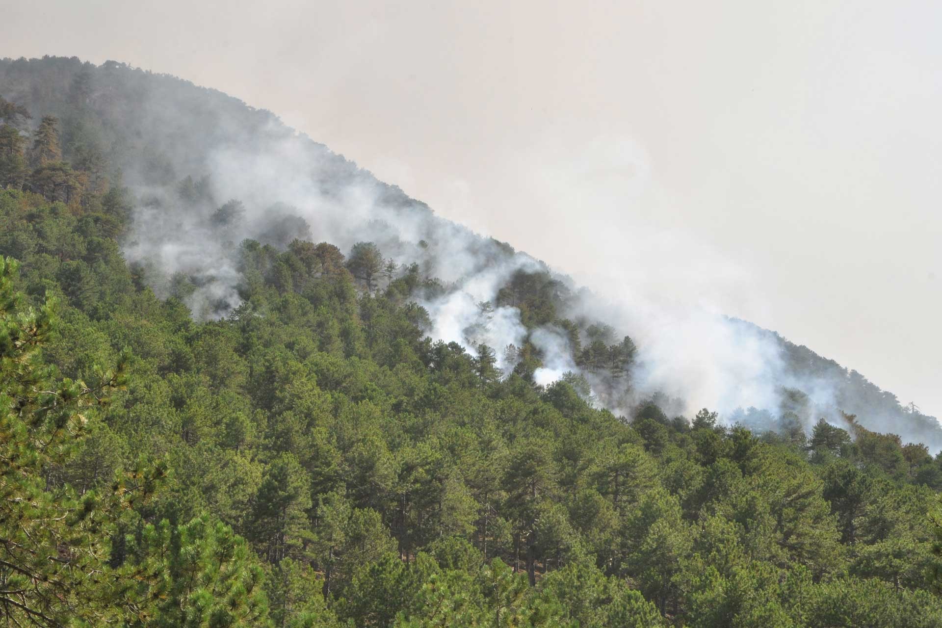 Marmaris’teki yangın, 6’ncı gününde de devam ediyor