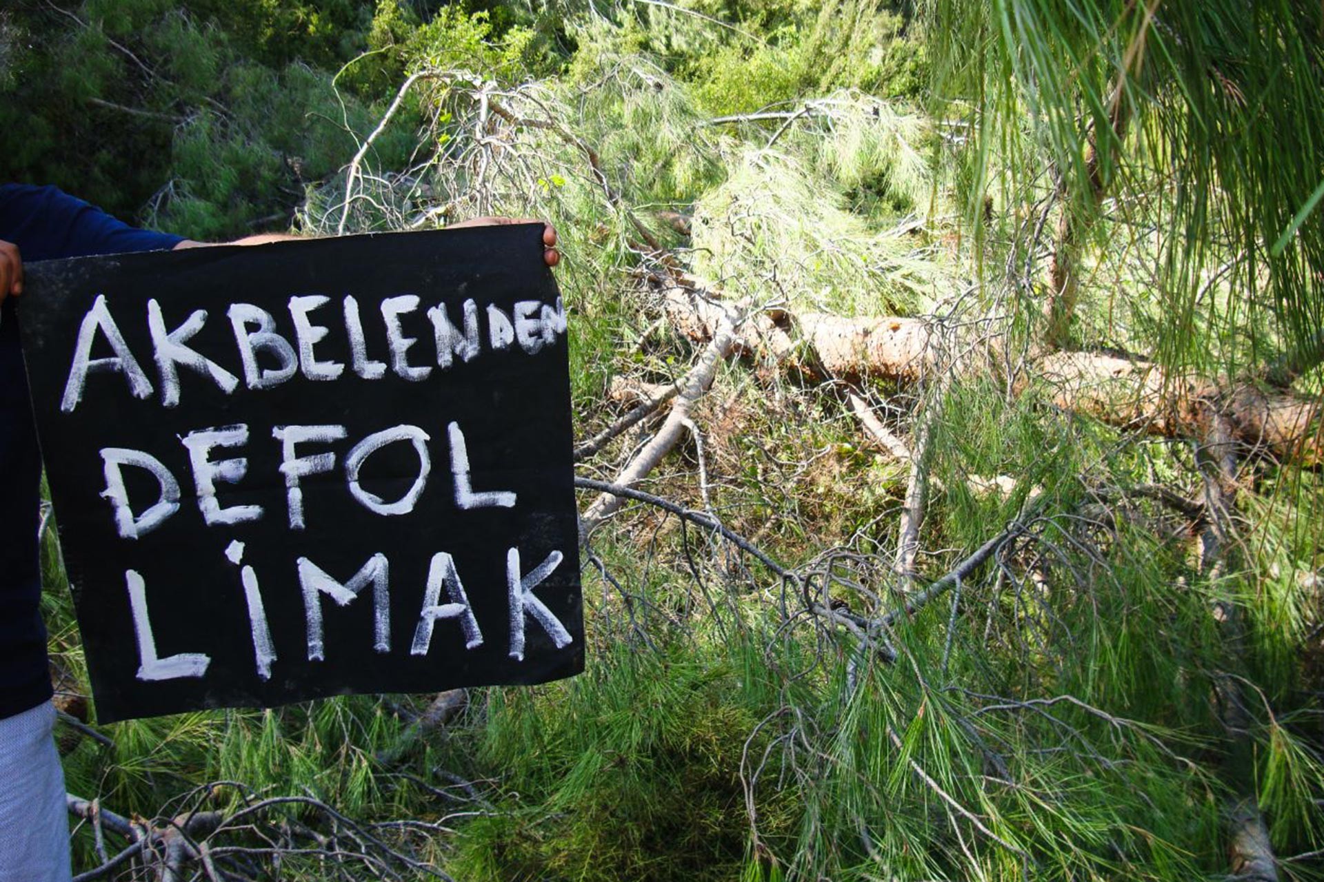 Yangın önleme bahanesiyle Akbelen ormanını kesiyorlar!