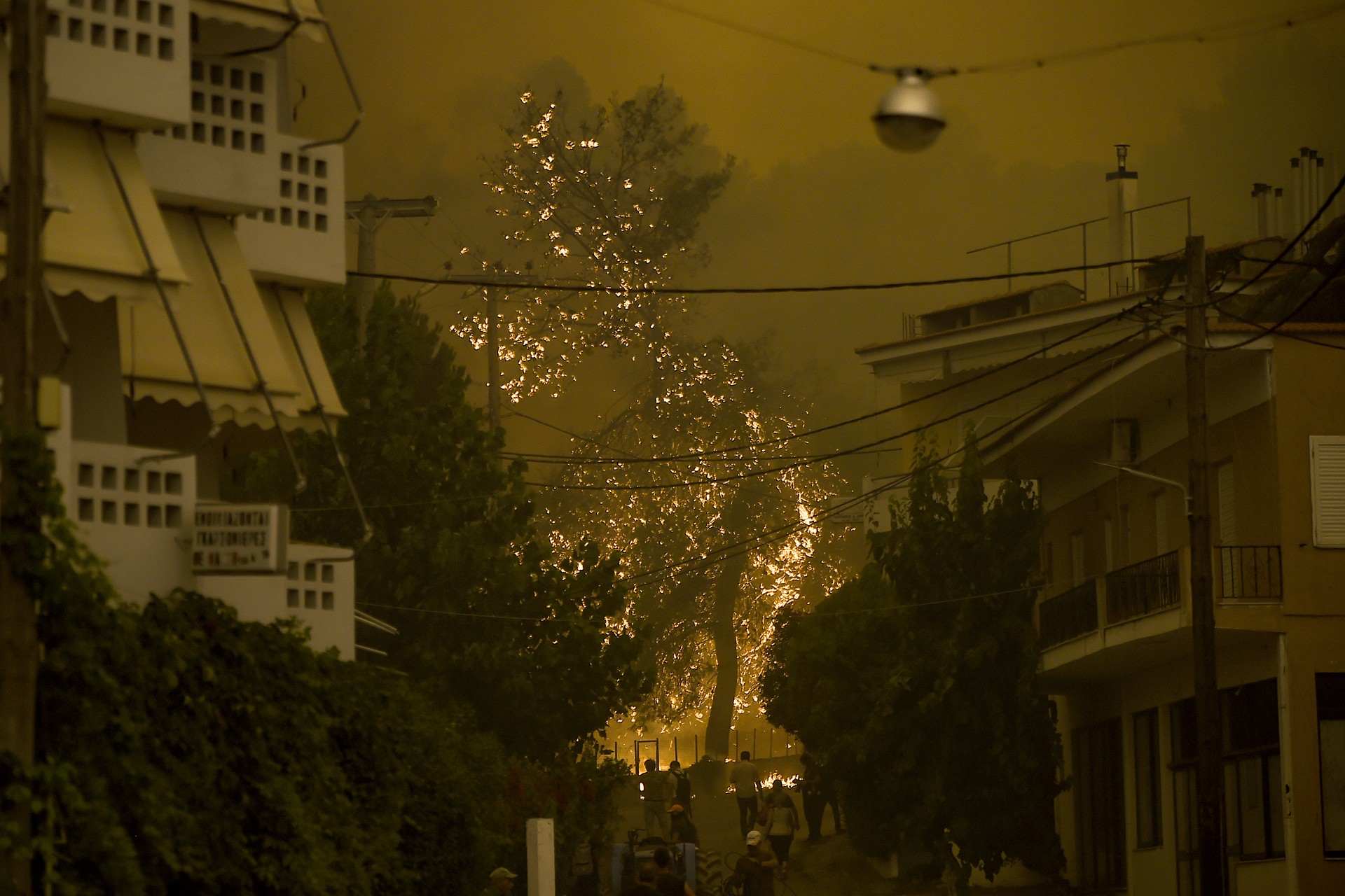 Yunanistan'da süren orman yangınlarından bir fotoğraf.