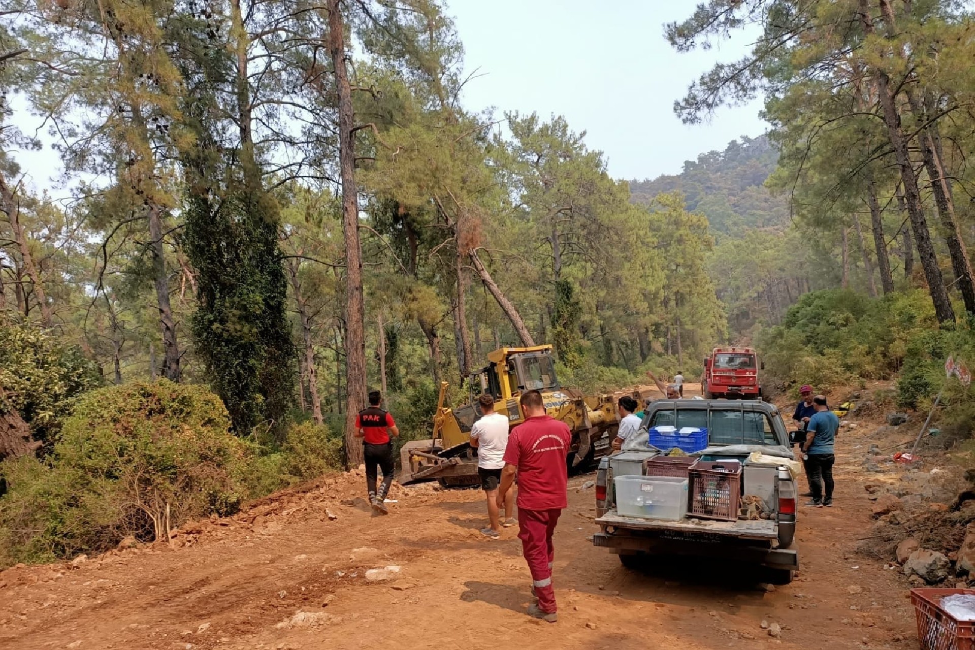 Muğla'da devam eden yangınlara havadan ve karadan müdahale ediliyor