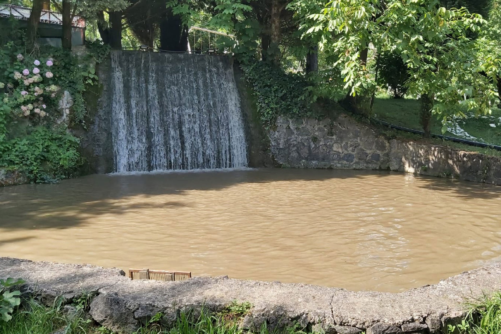 Sapanca'da İstanbuldere'deki inşaat suyun rengini değiştirdi, balıklar öldü