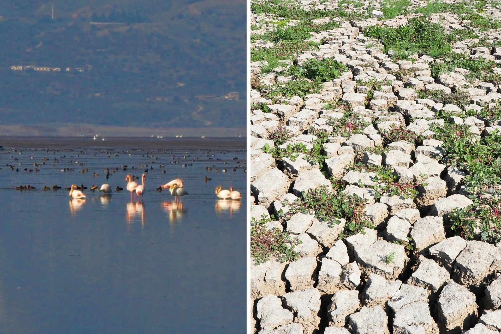 Marmara Gölü kurudu, zemininde derin yarıklar oluştu