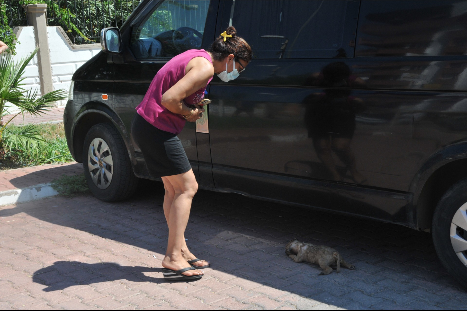 Antalya'da bir otoparkta 5 yavru köpek ölü bulundu