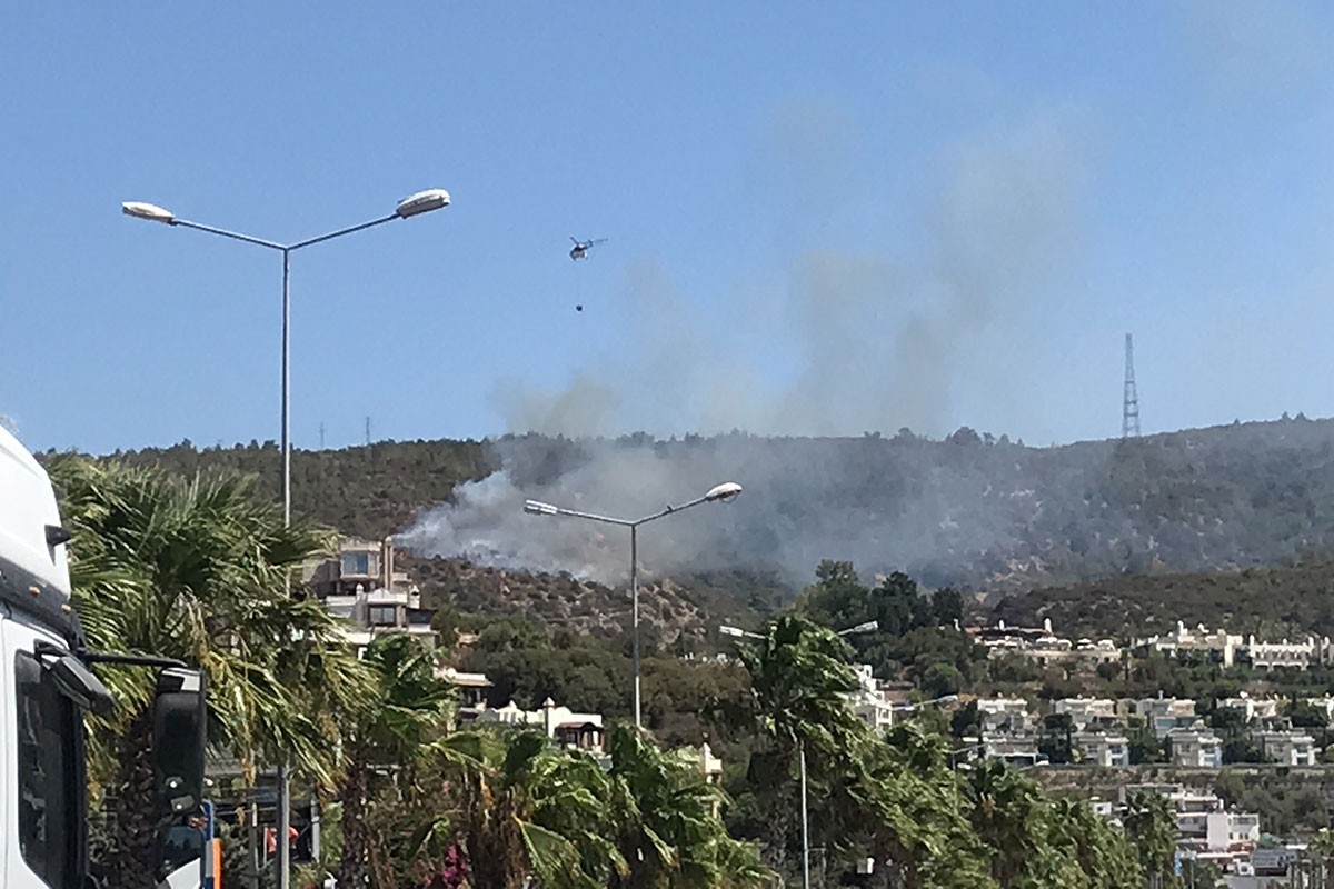 Bodrum'da ormanlık alanda çıkan yangın kontrol altına alındı