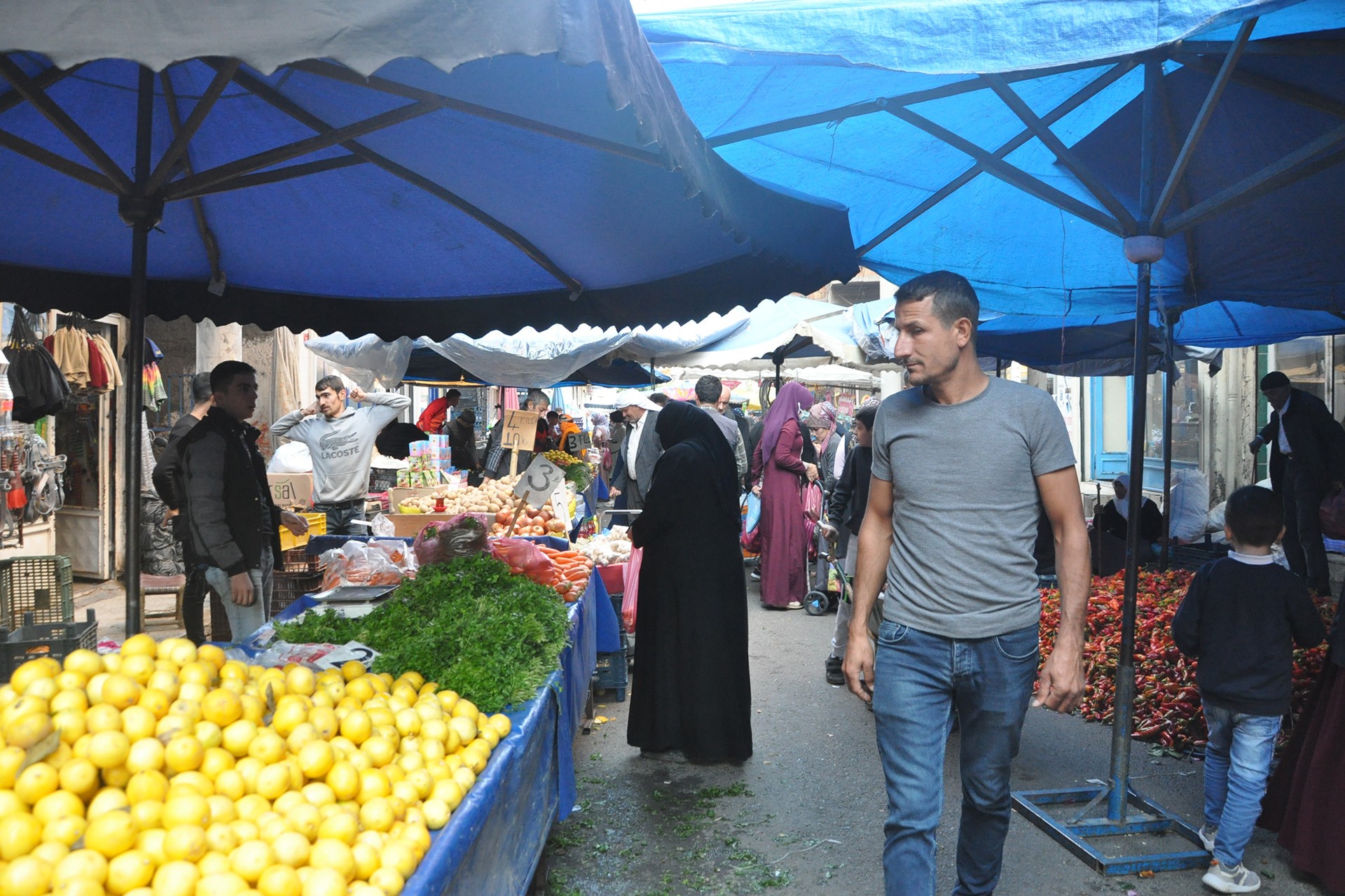 Bir hafta meyve, bir hafta sebze alıyorlar