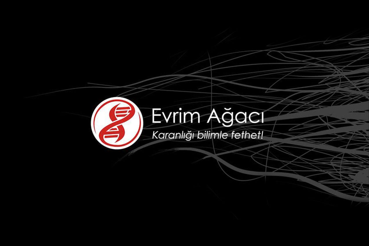 Evrim Ağacı, YouTube Shorts'ta en popüler içerik üreticisi oldu