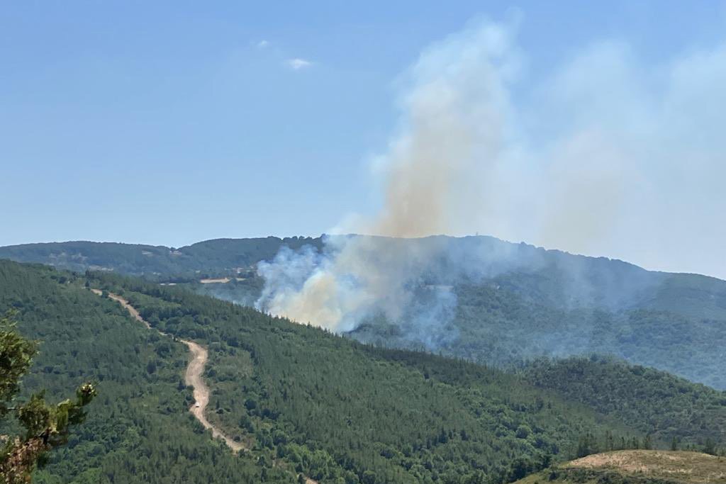 Çanakkale'de çıkan orman yangını kontrol altına alındı