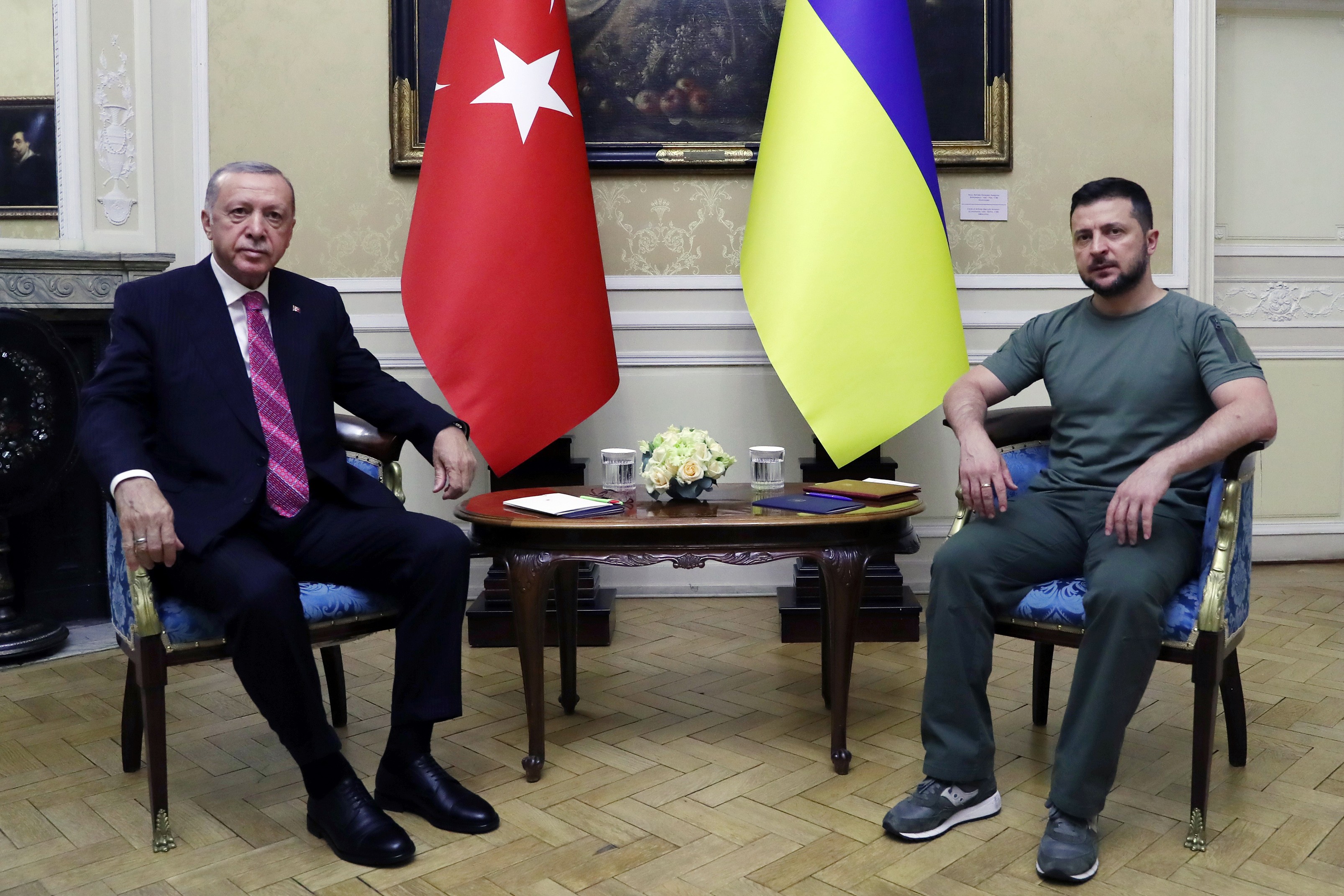 Tayyip Erdoğan ve Vladimir Zelenskiy