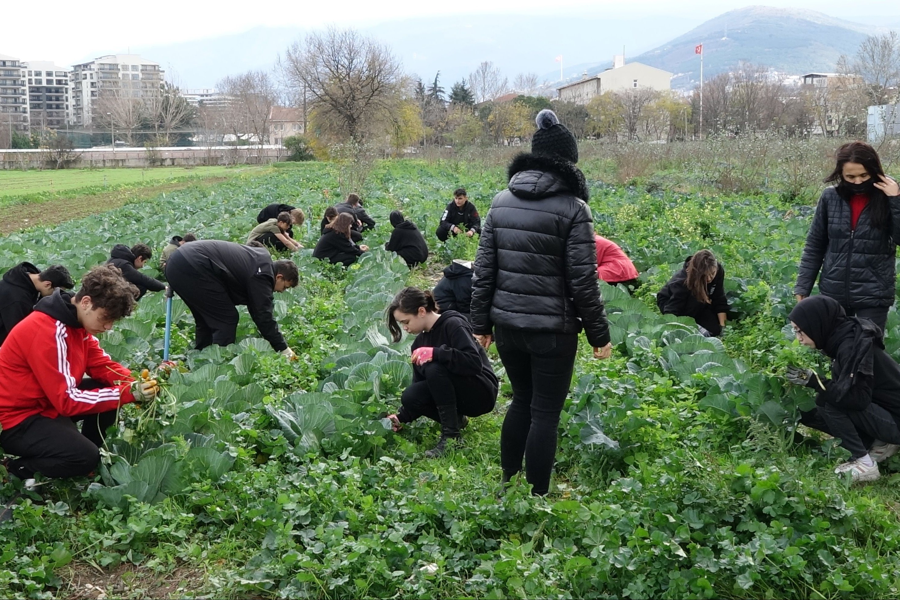 Öğrencileri, aylık 400 liraya işçi gibi çalıştırıyorlar