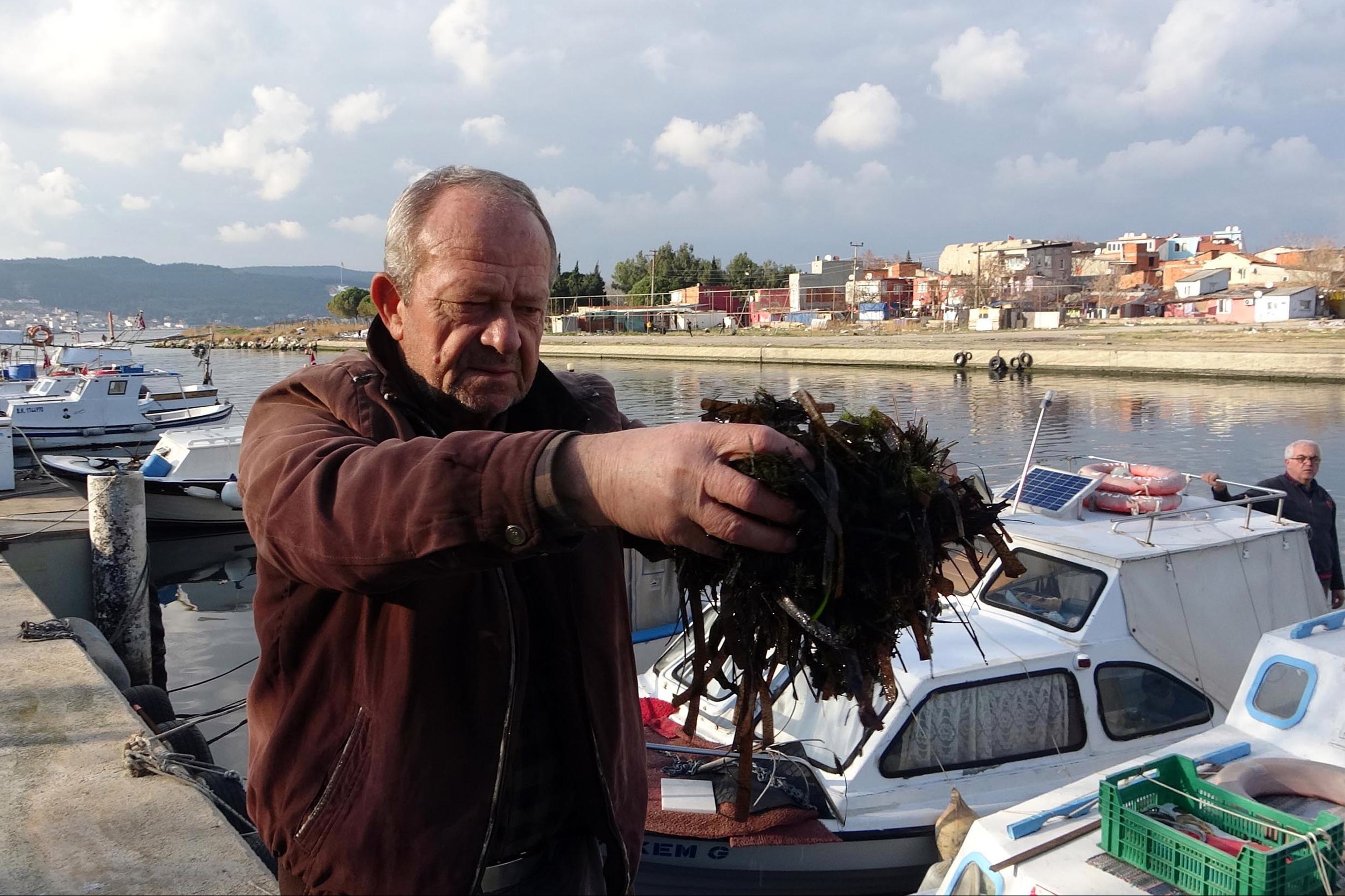 Sarıçay'ı "ölü yosun" bastı, balıkçılar dertli