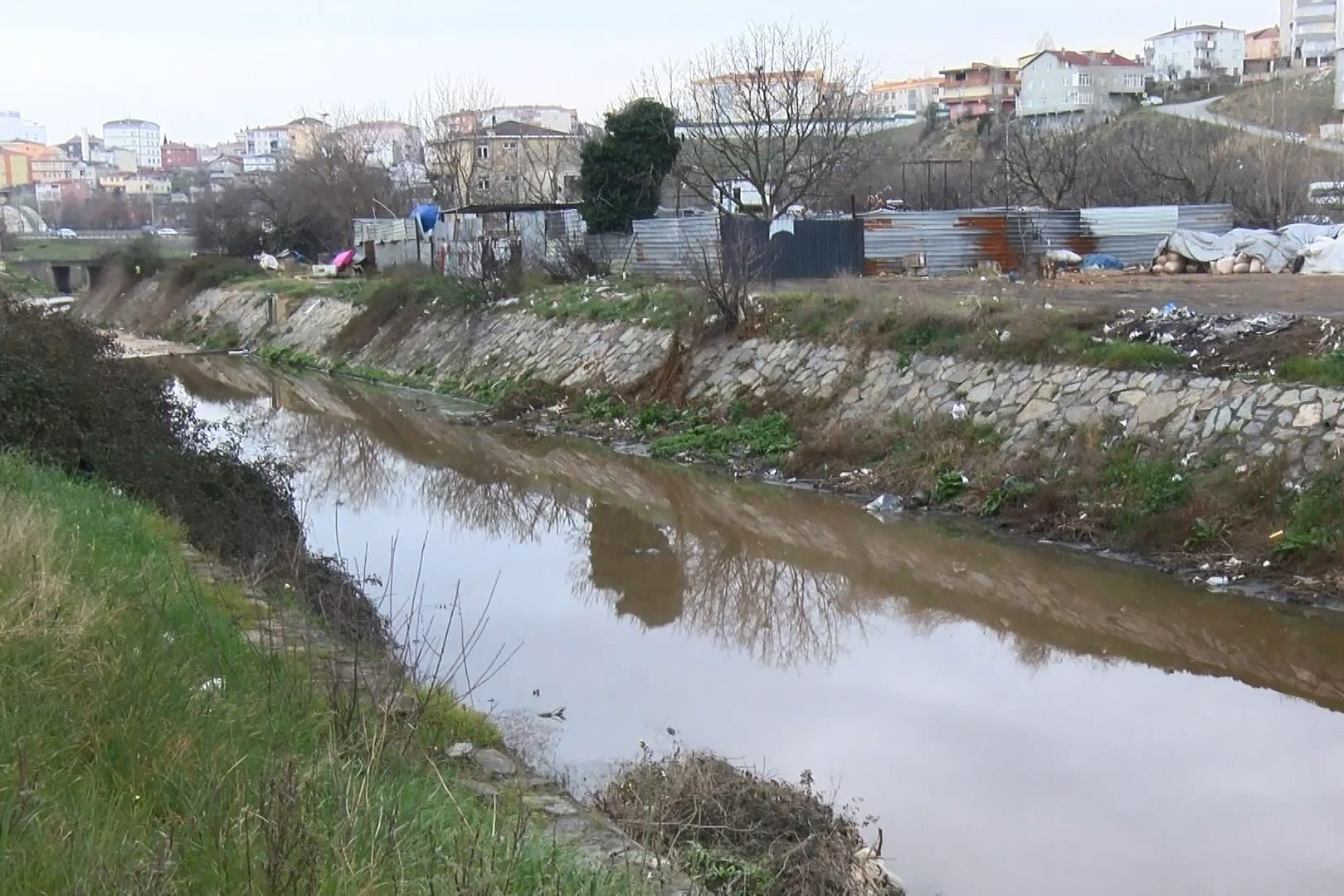 İstanbul'un iki yakasındaki iki derede kirlilik alarmı