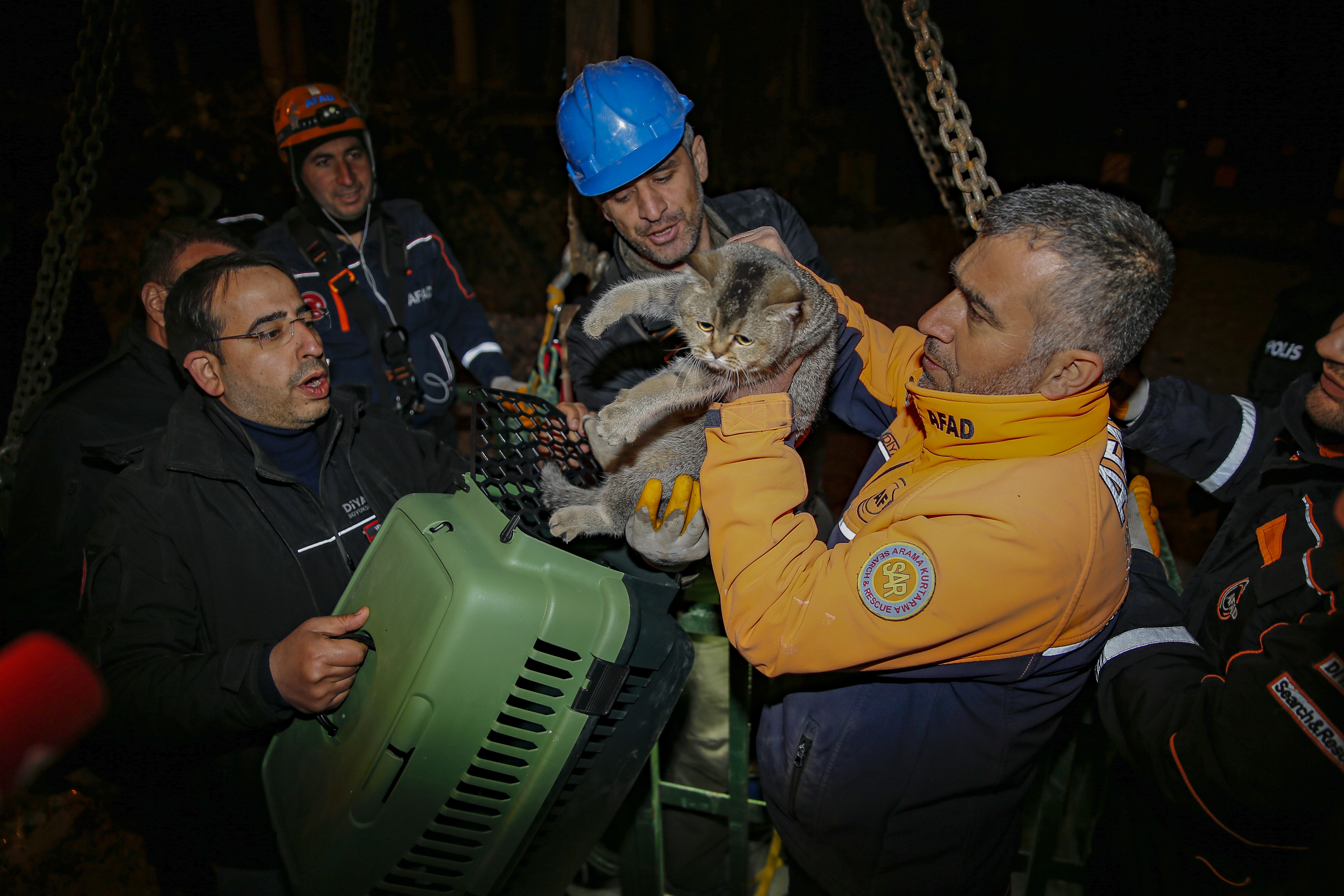 Hayvanların mahsur kaldığı Galeria Sitesi'nde çalışma devam etti: "Zena" isimli kedi kurtarıldı