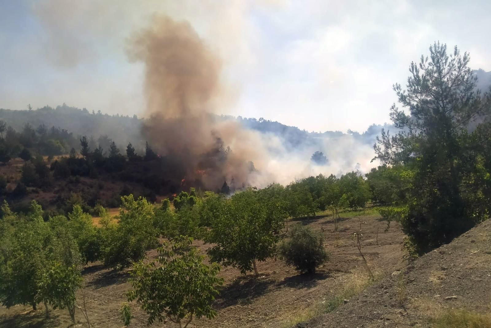 Maraş'ta orman yangını 17 saatte kontrol altına alındı: 100 hektar alan zarar gördü