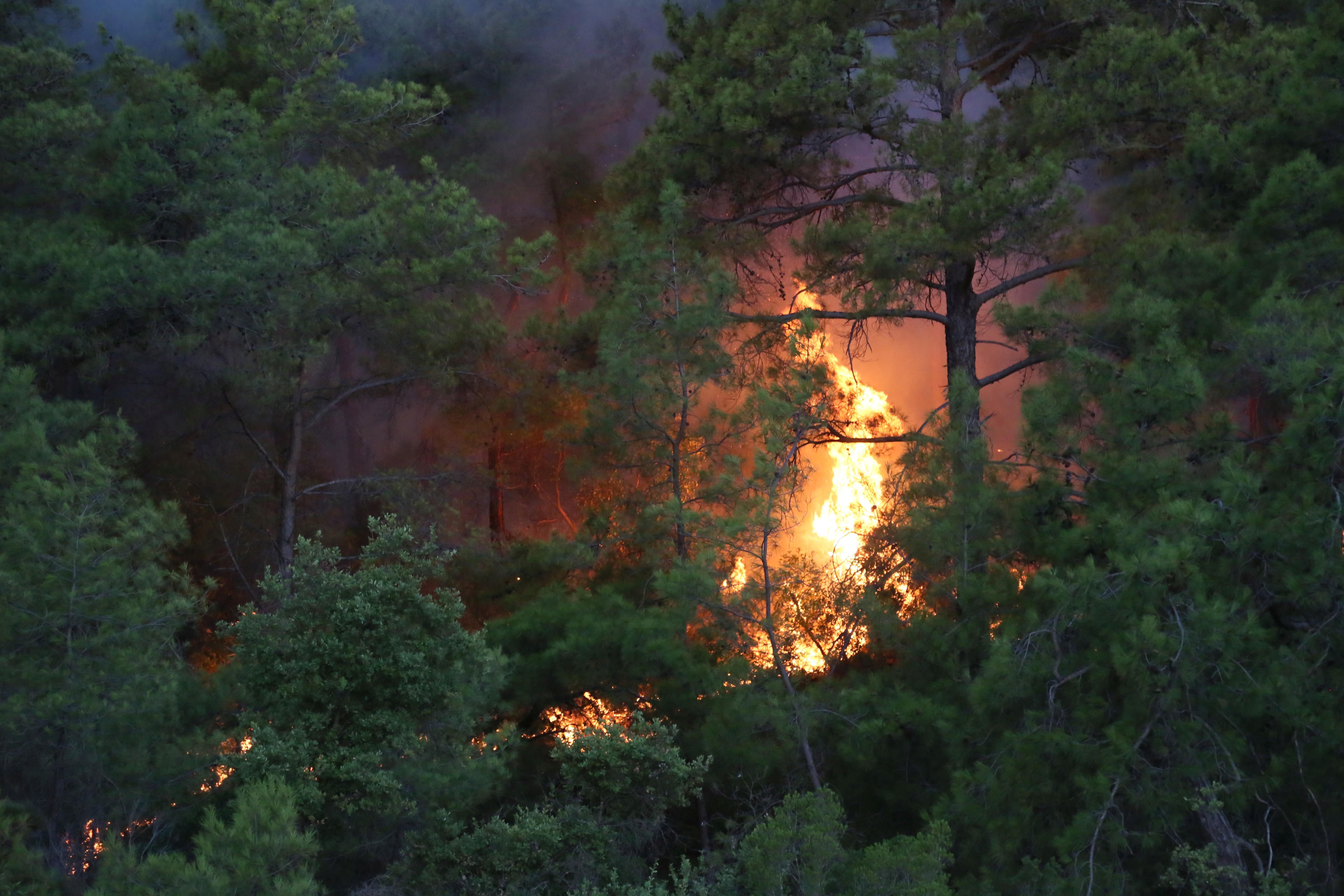 Antalya Kemer'de orman yangını