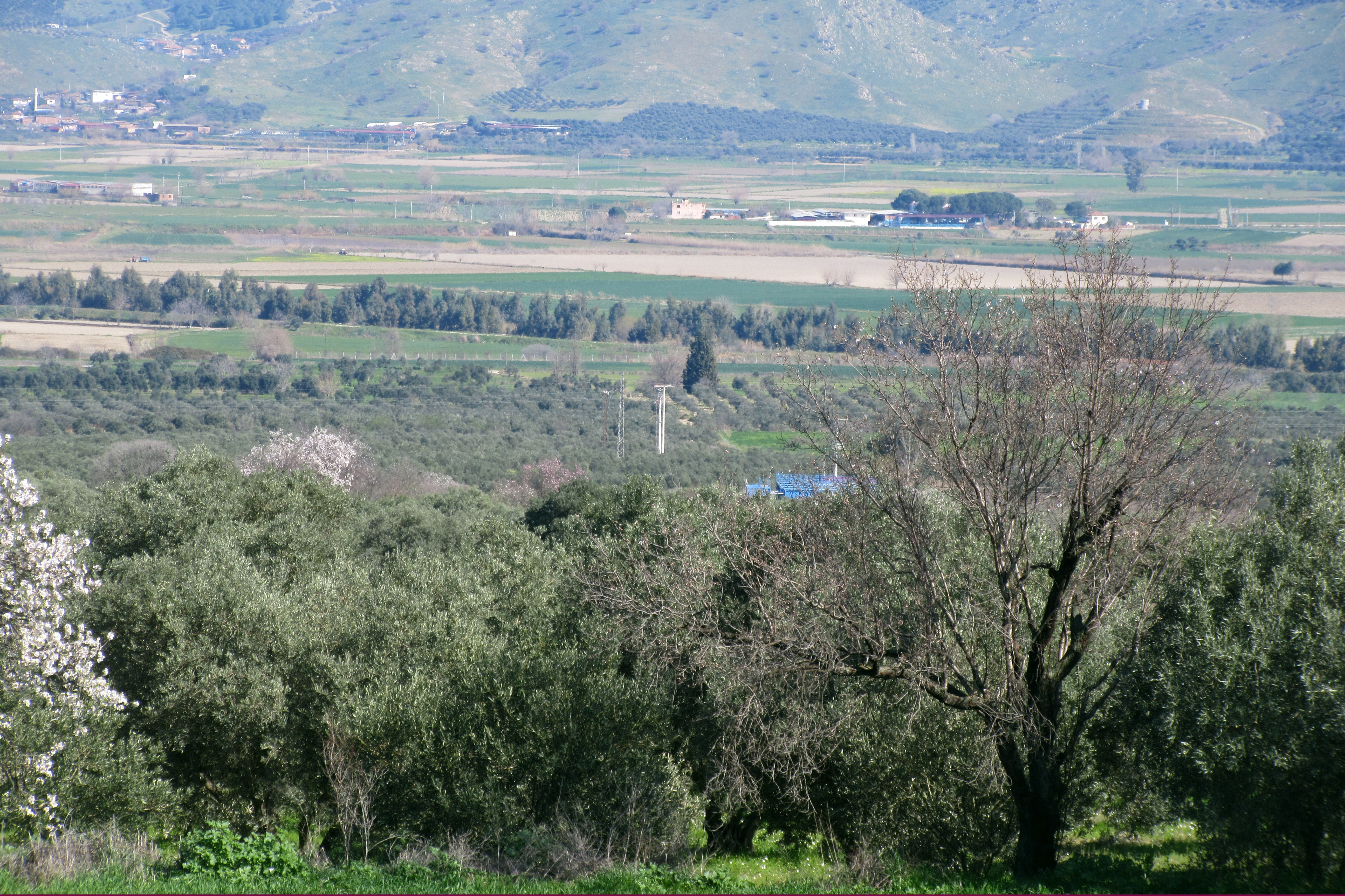 JES'e karşı toplantı