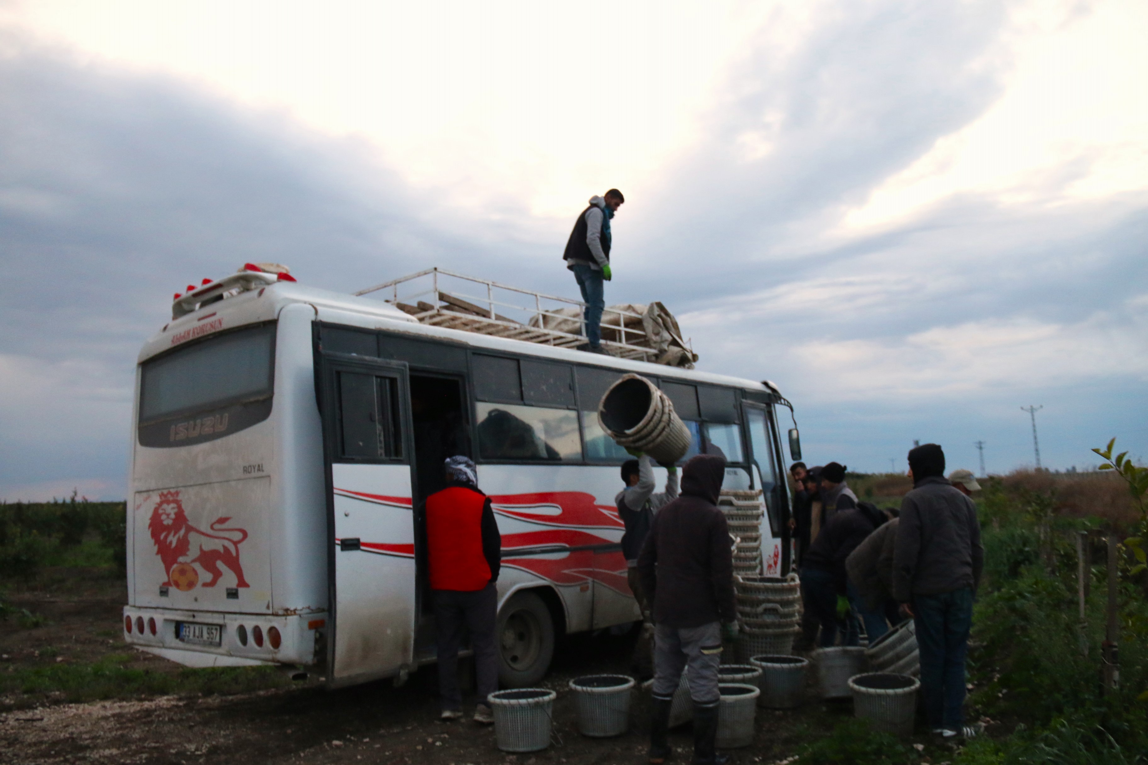 Mevsimlik tarım işçisi: Bir gün çalışıyorsun bir kilo et alamıyorsun