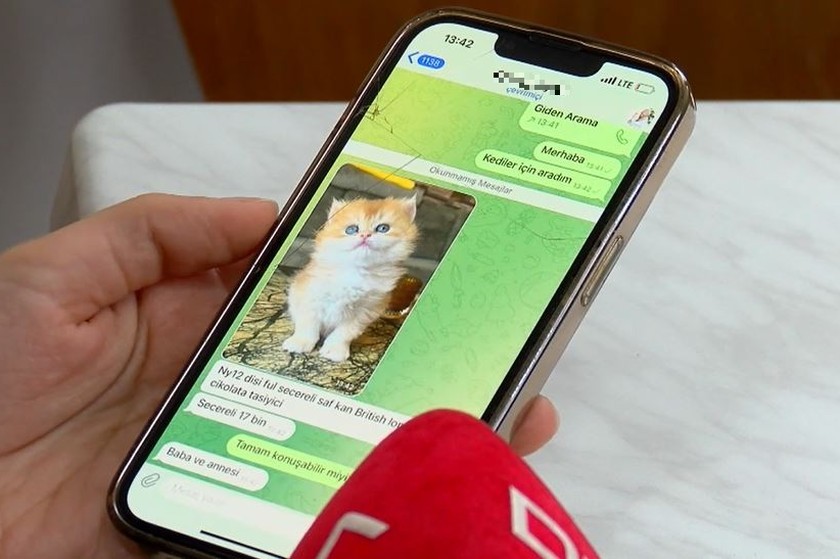 Pet shoplarda satış yasaklandı ama hayvan satışı bitmedi, dijitalleşti