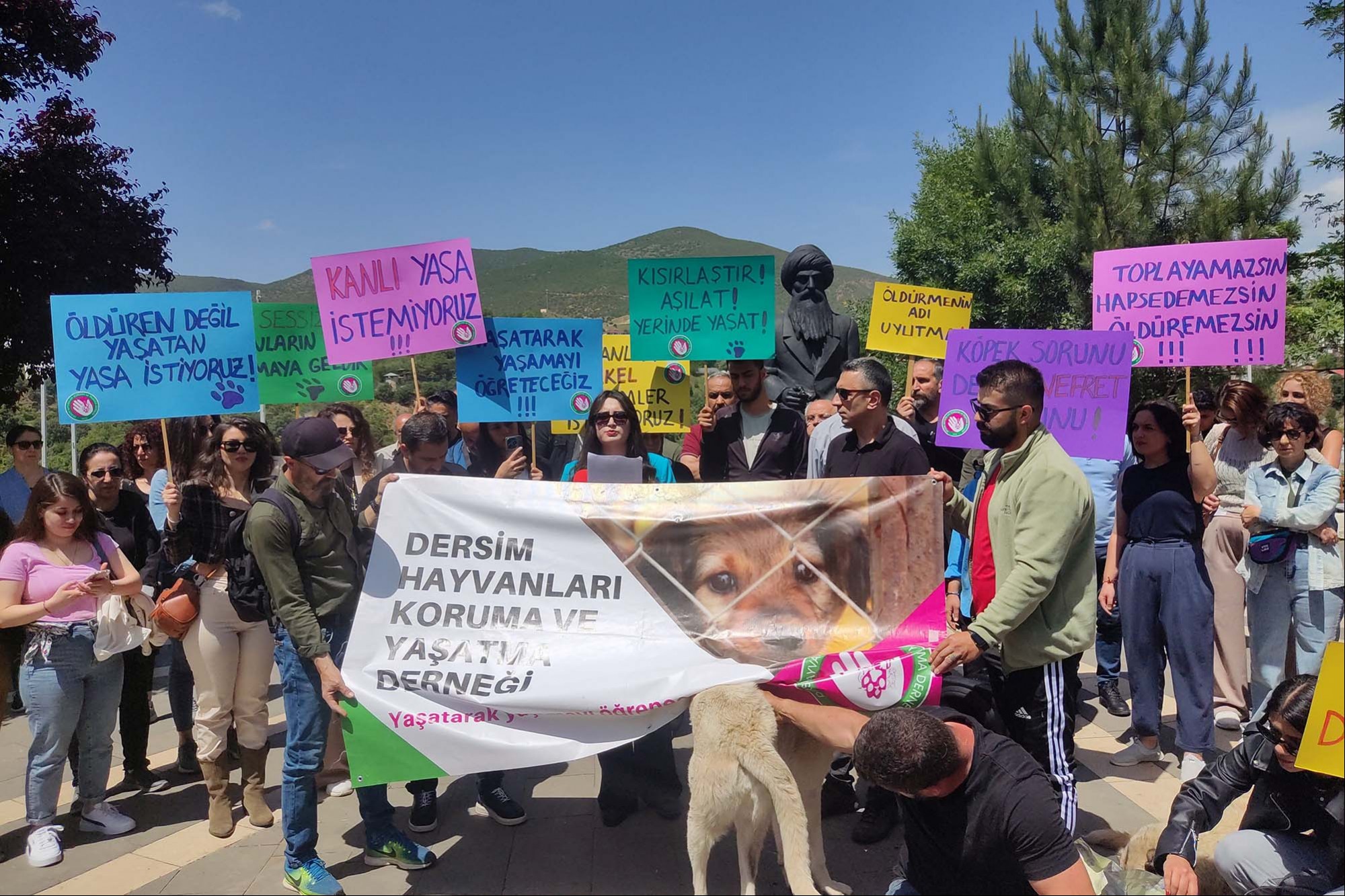 Sokak köpeklerinin uyutulmasına Dersim'den tepki: Hayvanları öldürmenin adı uyutma