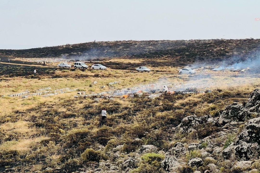 Tarım Orkam-Sen: Enerji hatlarında gerekli bakımlar acilen yapılmalı