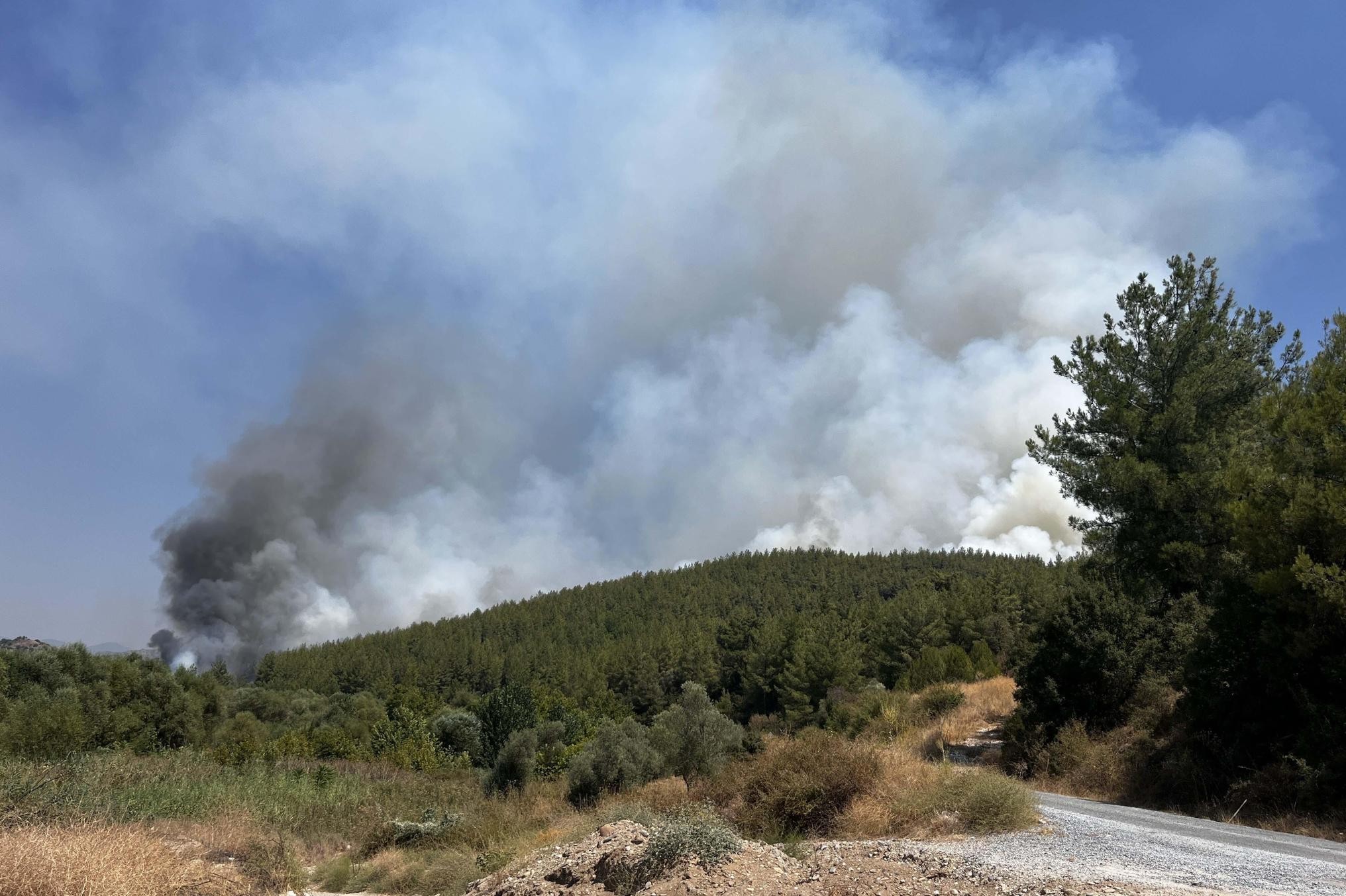 Muğla'nın Ula ile Yatağan ilçelerinde yangınlar 2'nci günde kısmen kontrol altına alındı