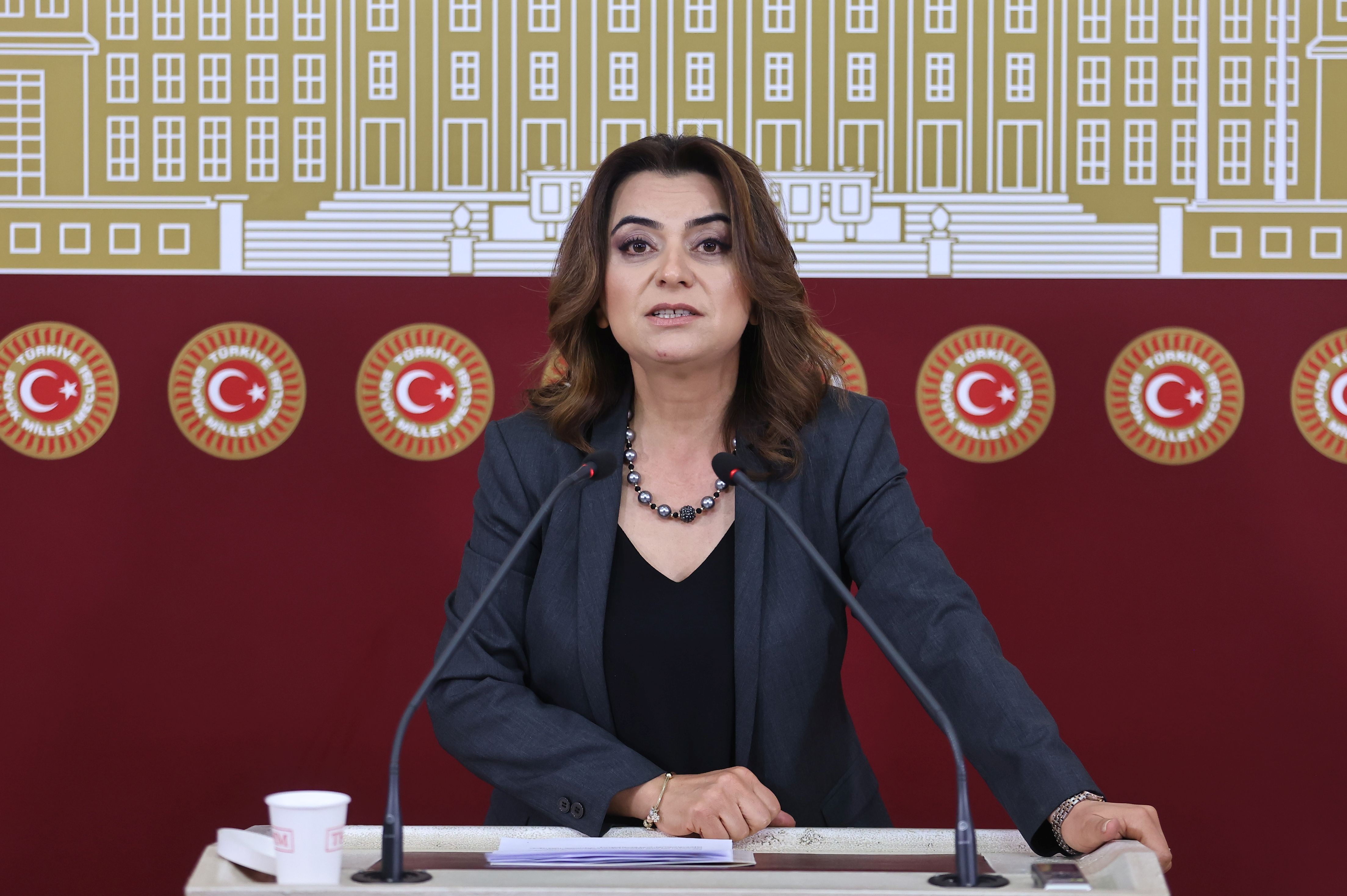 DEM Parti’den müfettişlere ve bekçilere ek yetki verilmesine tepki