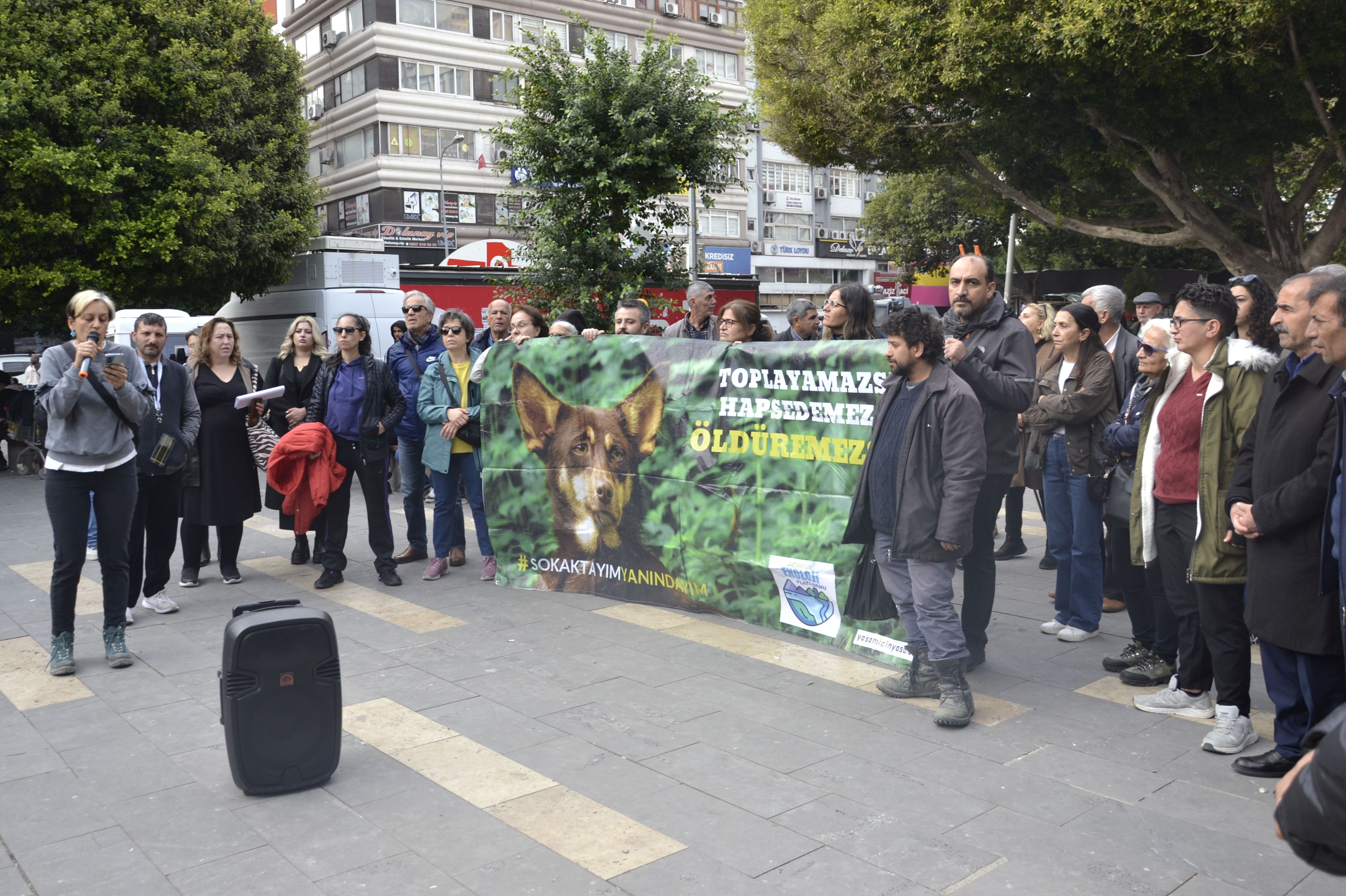 Adana’da köpek katliamlarına tepki: “Parti fark etmeksizin hesap soracağız”