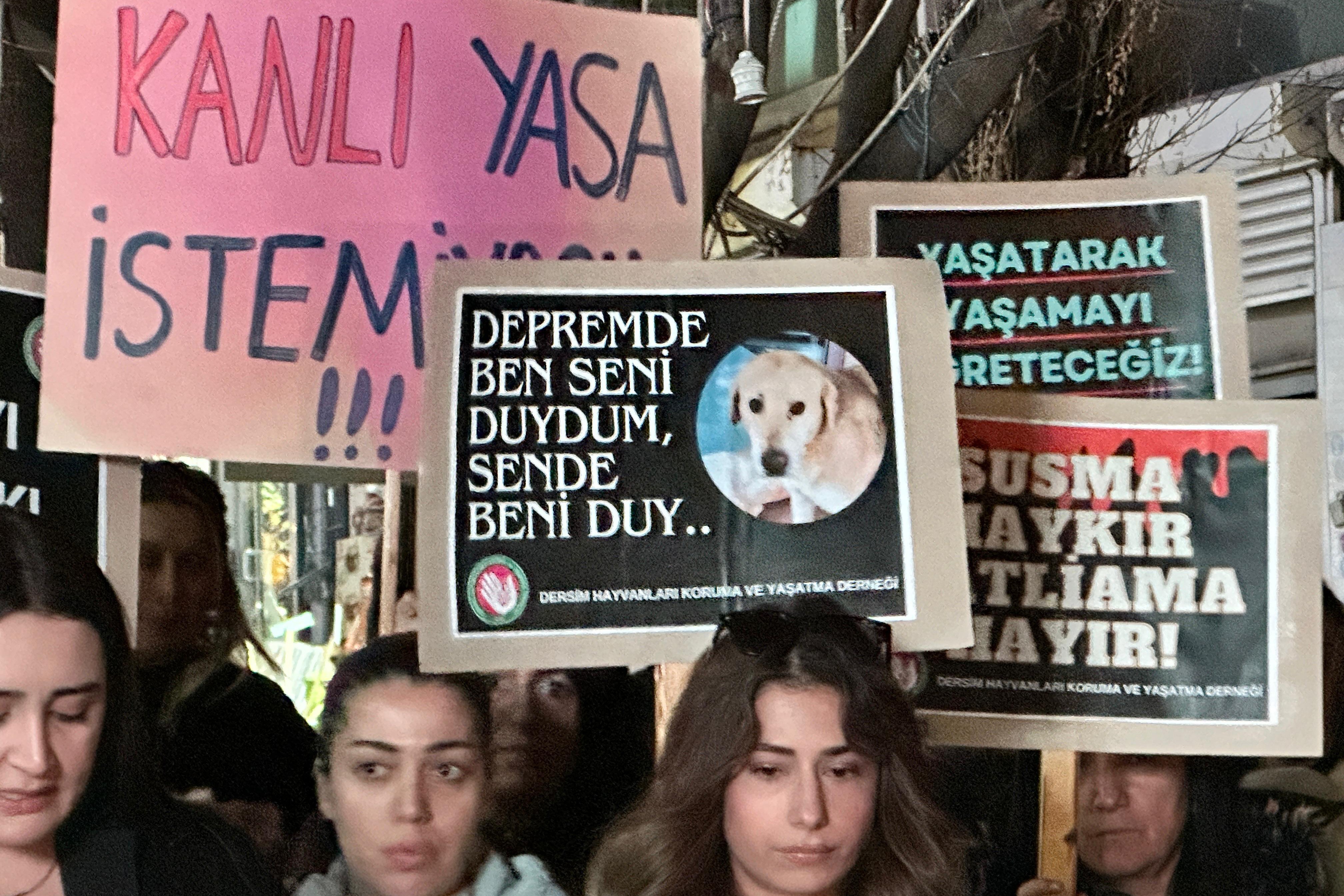 Dersim'de AYM'den yasanın iptalini isteyen hayvan hakları savunucuları açıklama yaptı