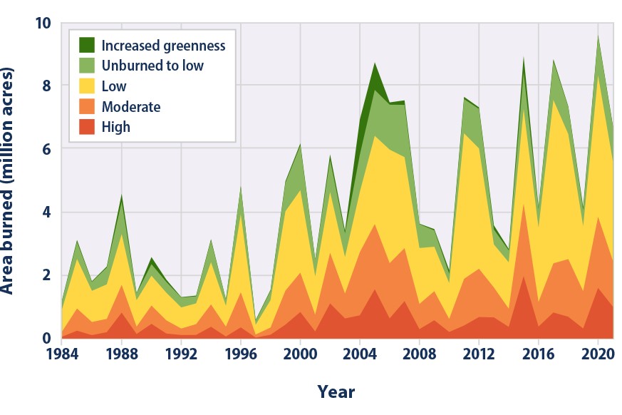 1983 yılından bu yana, Ulusal Kurumlararası İtfaiye Merkezi yılda ortalama 70.000 orman yangınını belgelemiştir