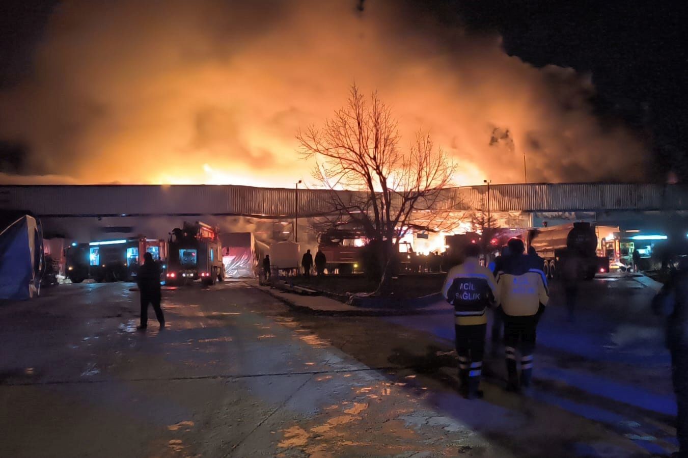 Afyonkarahisar’da orman ürünleri deposunda yangın çıktı