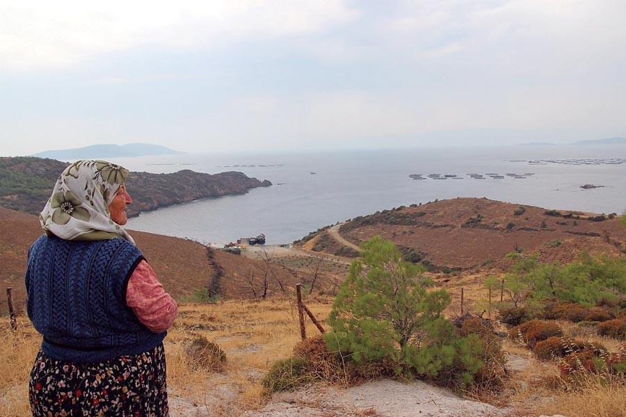 Karaburun'da tepki çeken balık çiftlikleri Bakan'a soruldu