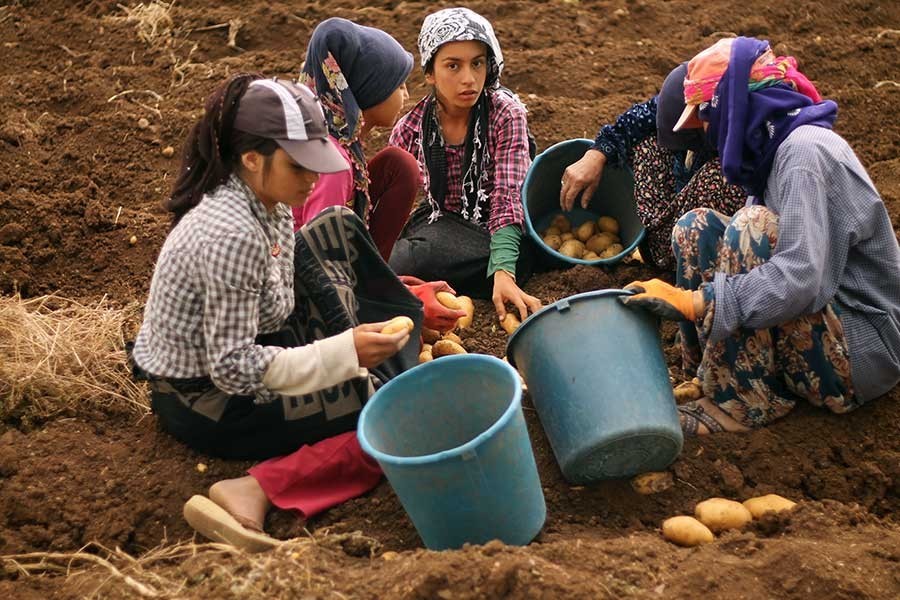 Devlet çocuk işçilere kör!