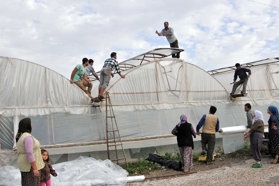 Hortumda seraları zarar gören Demreli üretici yara sarıyor